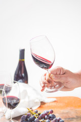 Professional red wine tasting event with high quality wine glasses and wine accessories