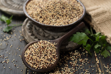 Mix of organic white, yellow and black quinoa, dietary and healthy food