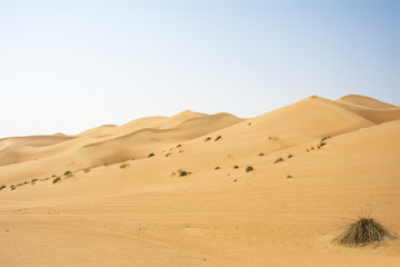 Wahiba Wüste in Oman