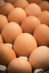 Brown cage-free chicken eggs