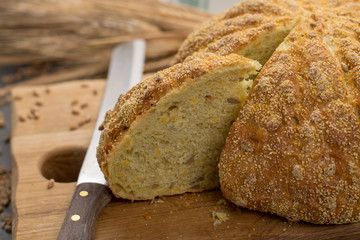 Homemade baked round bread with corn and wheat