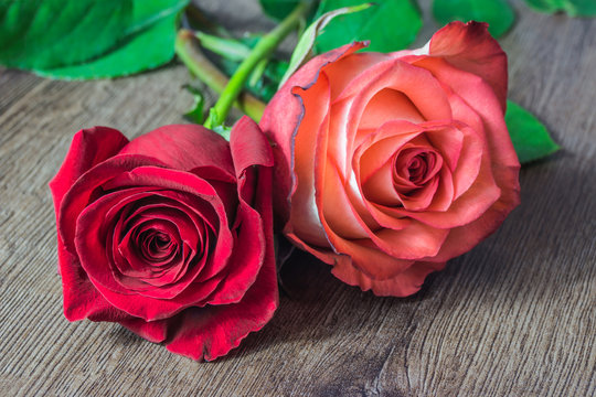 Rote Rosen