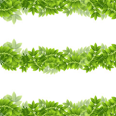 Plant Leaf Leaves Green Frame Border Banner Foliage Set