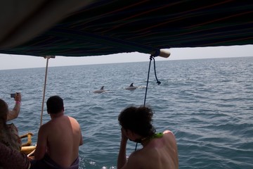 Tourists on a dolphin watching trip near Zanzibar, Tanzania (Africa)