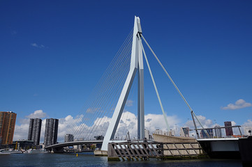 Fototapeta na wymiar Erasmusbrug Erasmus Bridge in Rotterdam
