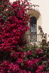 Ventana con buganvilla.