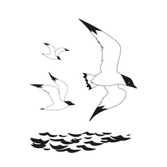 Seagull icon set. Monochrome black white hand drawing brush style. Flying bird seabird marine symbol isolated. Nautical animal emblem. Element for banner background. Vector design advertisement label