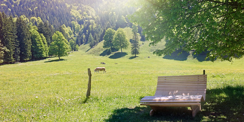 Rastplatz auf der Alm