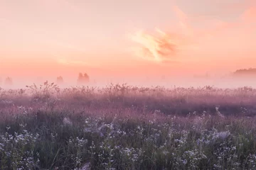 Foto op Plexiglas zonsopgangveld van bloeiende roze weidebloemen © Kotangens