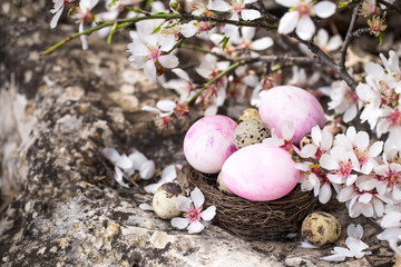 Easter eggs and blossom