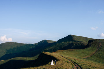 Bride and groom are walking on the green hills