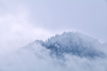 mountains top in winter fog
