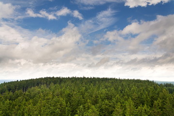 Beautiful summer forest view from Pajndl lookout tower cloudy sky copy space, Tisovsky Mount in Krusne Hory, Bohemia, Czech Republic