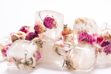 Frozen flowers, ice cubes floristic decoration