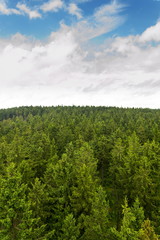 Beautiful summer forest view from Pajndl lookout tower cloudy sky copy space, Tisovsky Mount in...