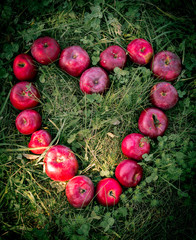 Apple Heart