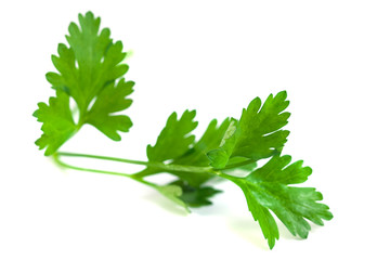 Fresh green parsley isolated on white background, food ingredient