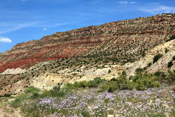 Cabazon Road Ojito Wilderness Area New Mexico USA