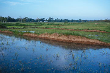 Ukerewe Farm Land