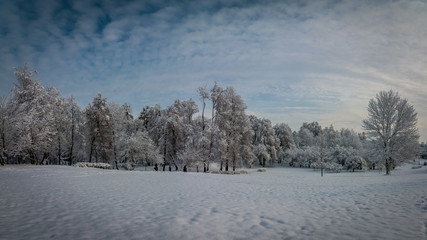 winter city public snow-covered park under a blue cloudy sky