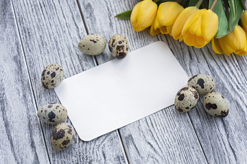 Quail eggs, yellow tulips and white card on wooden background
