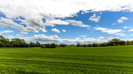 field green blue sky with clouds