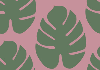 Monsterra leaves pattern in vector