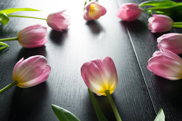 Border from bright pink tulips flowers on black wooden background.