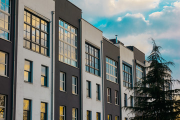 Naklejka premium white and black townhouses with fir tree on the right side