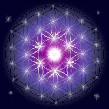 Sacred geometry illustration: Flower of Life, also known as Seed of Life or The Pattern of Creation. Flower of Life symbol represents patterns of life as they emerge from the great void.