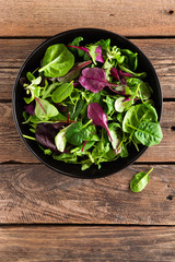 Fresh salad mix of baby spinach, arugula leaves, basil and chard. Italian cuisine