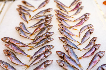 Raw fish lying on the ice.