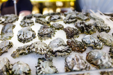 Fresh oysters lying on the ice.