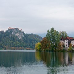 Fototapeta na wymiar The city of Bled surrounding Lake Bled with Bled Castle on the precipice
