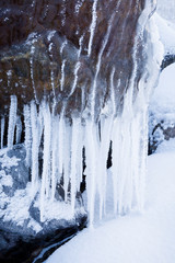 Row of big frosty icicles in nature