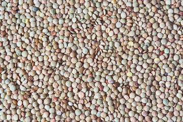 dry peas as background