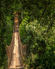 wood bridge national park brazil