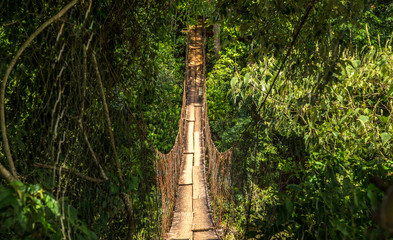 wood bridge national park brazil