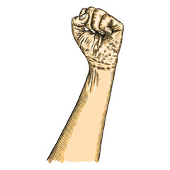 Human male hand raised up, symbol of fighting, freedom, revolution, protest and riot. Man power. Hand gesture sketch. Man wrist illustration isolated on white background. Vector.