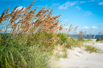 ocean scenes and landscapes 