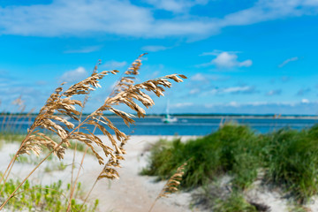 ocean scenes and landscapes 