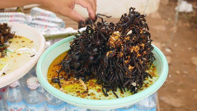 Street vendor stacking deep fried tarantulas on a plastic bowl ready for sale ( close up )