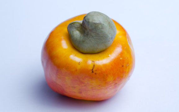 The Cashew is a tropical fruit