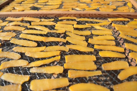 Dried slice sweet potato at Ibaraki Japan, winter homemade local food