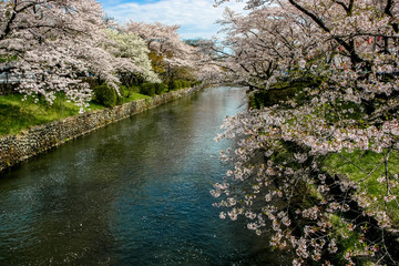 Farming in Northern Japan