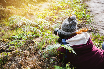 Photographer asian women Traveling photograph Nature. travel relax in the holiday walk in the forest. travel relax in the holiday.  Thailand