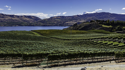 Lake Chelan area winery