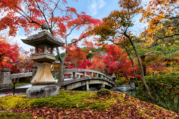 Landscape with the stone bridge in autumn season