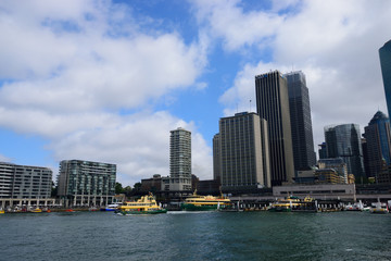 Obraz premium シドニー市街地