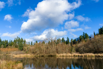 Obraz premium Deschutes River